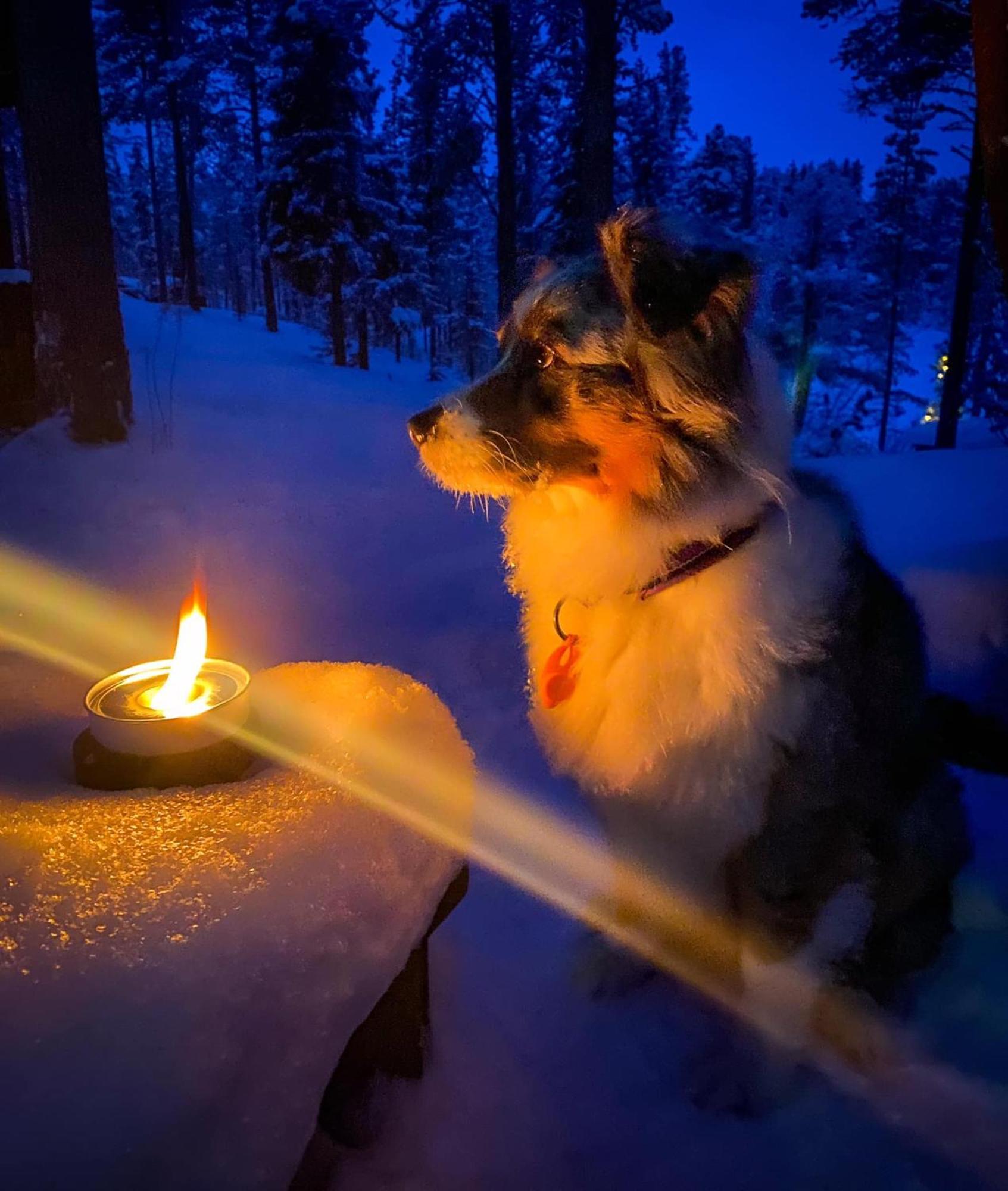 Aurora Camp Kurravaara Villa ภายนอก รูปภาพ