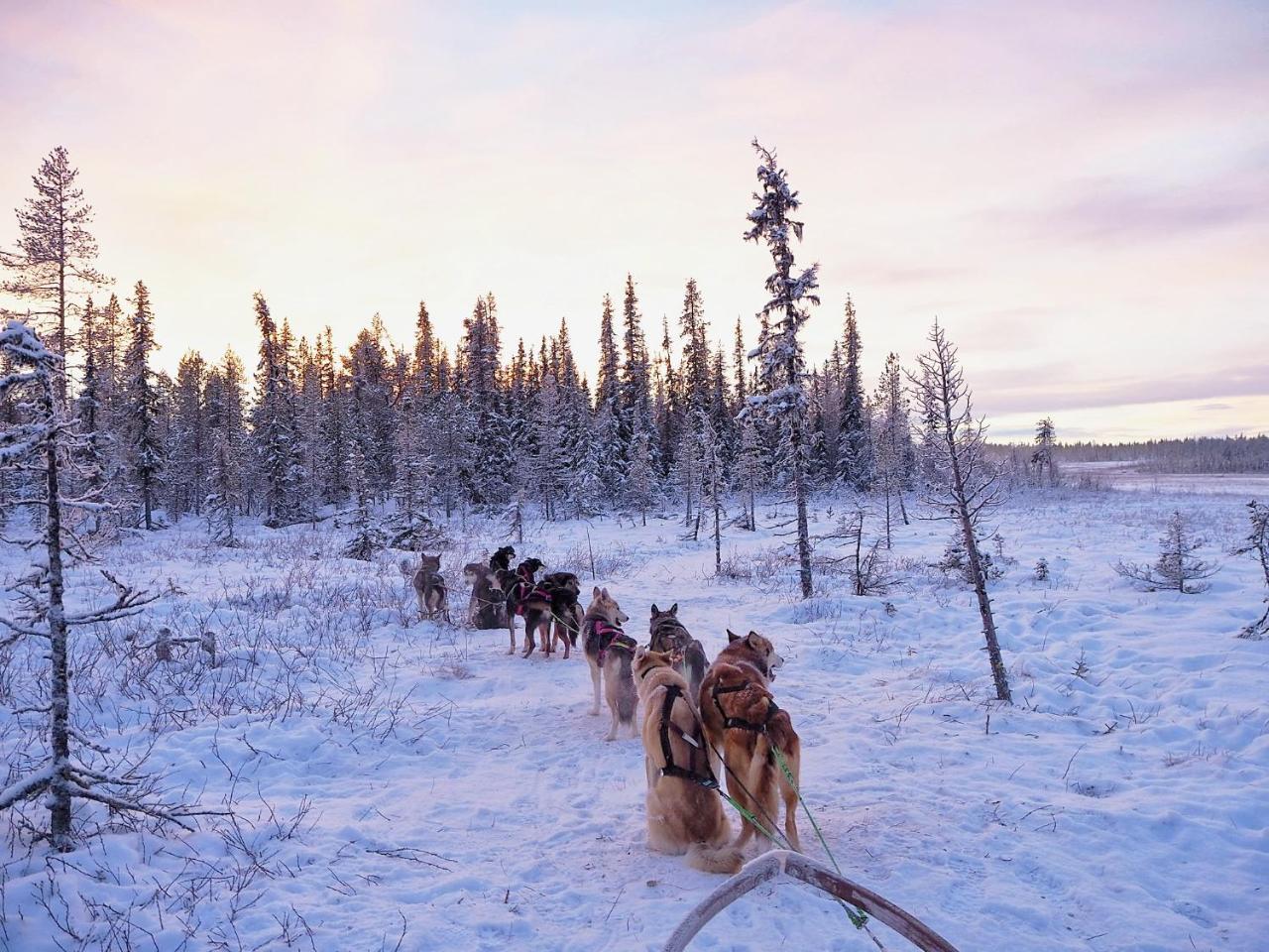 Aurora Camp Kurravaara Villa ภายนอก รูปภาพ